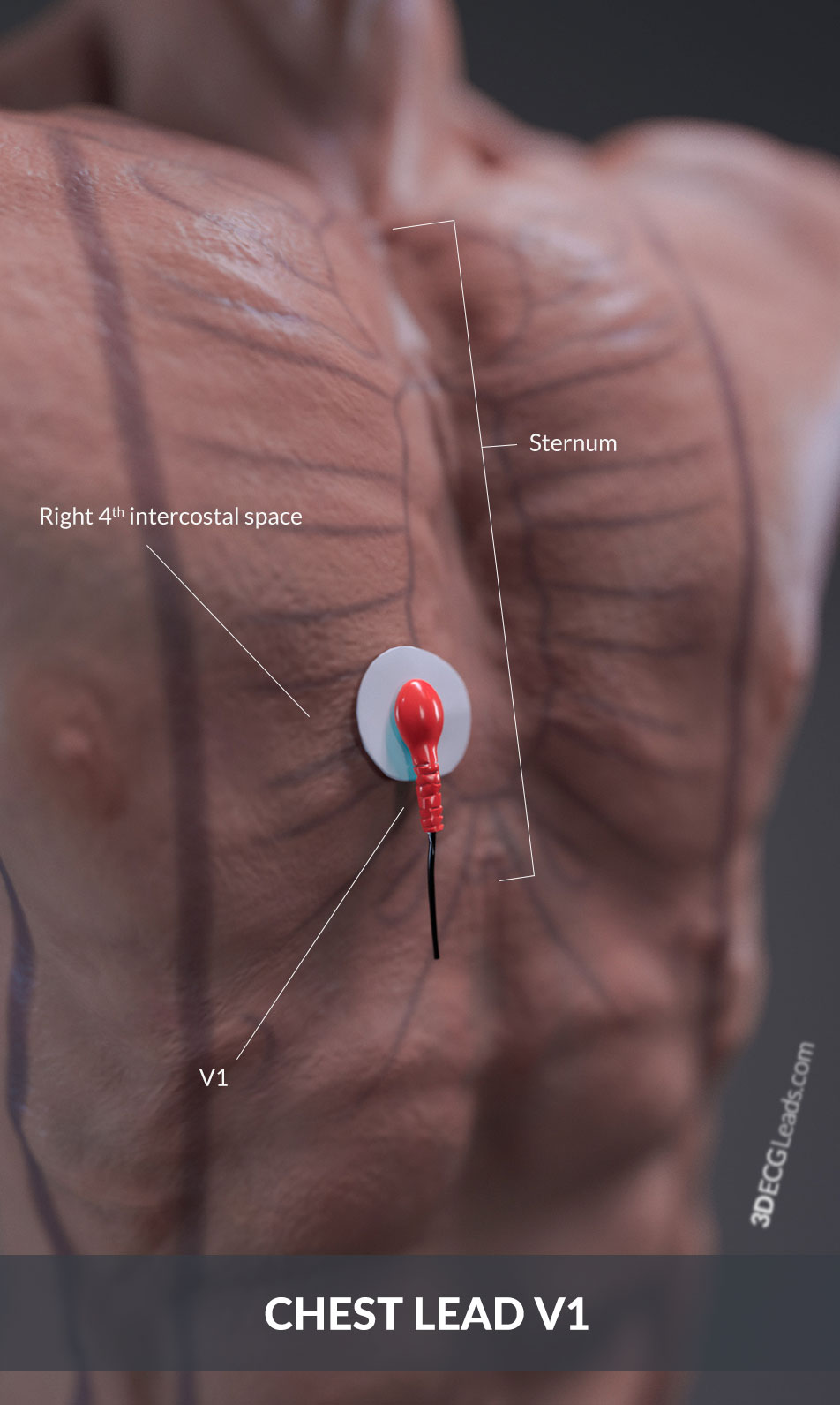 sternal angle palpation